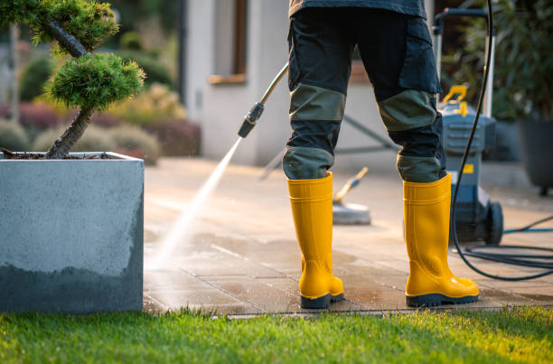 Best Gutter Cleaning in Woodland Park, NE